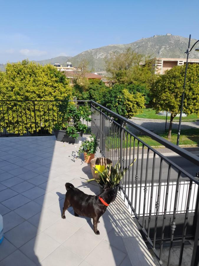 A Casa Di Falco Mondragone Bagian luar foto