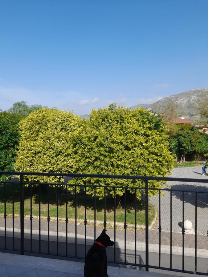 A Casa Di Falco Mondragone Bagian luar foto